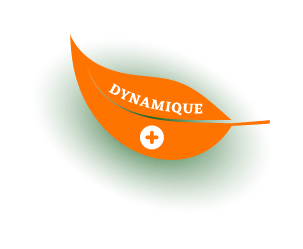 MyDad - Dynamique